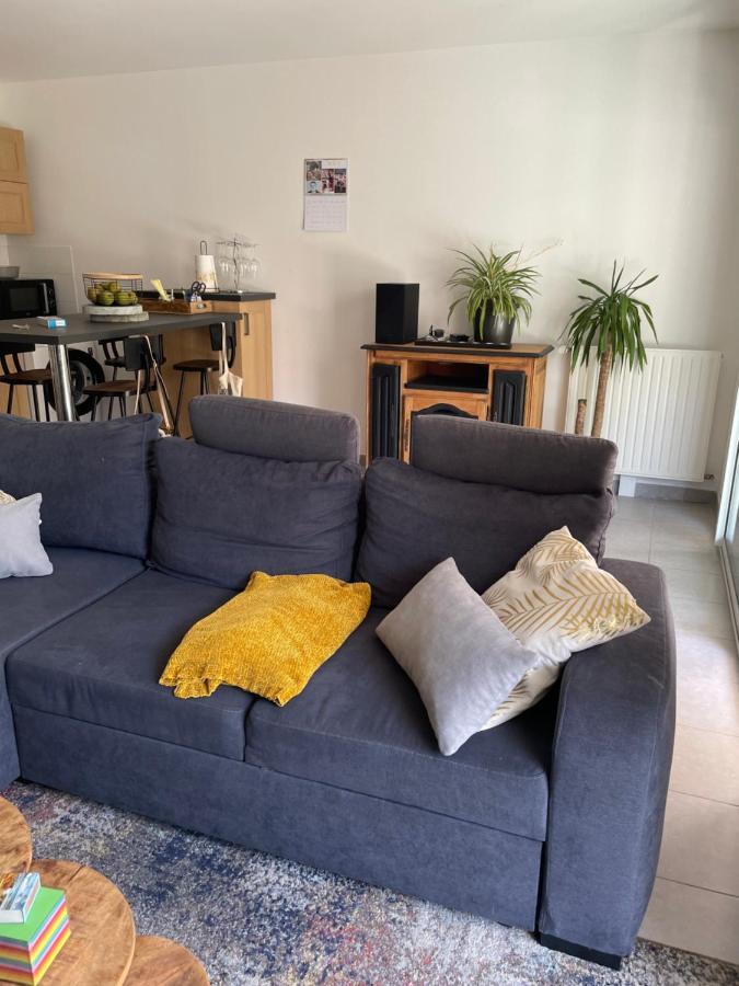 Appartement Avec Terrasse Proche De Rennes Saint Jacques de la Lande Bagian luar foto