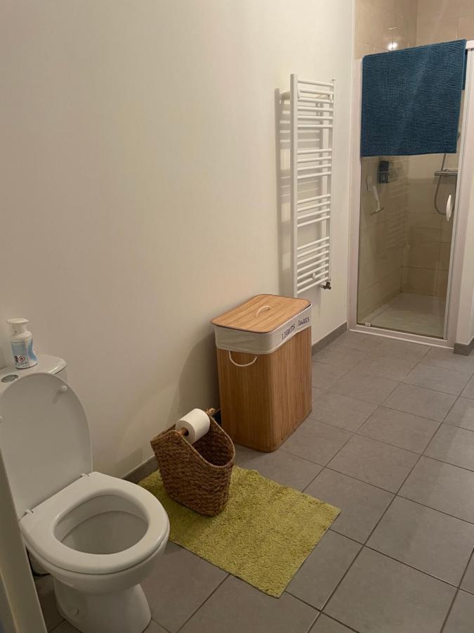 Appartement Avec Terrasse Proche De Rennes Saint Jacques de la Lande Bagian luar foto